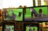bts102.jpg