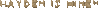 haydeninmine.gif